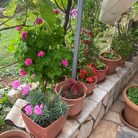 Ilias Family Rooms Himare Exterior photo